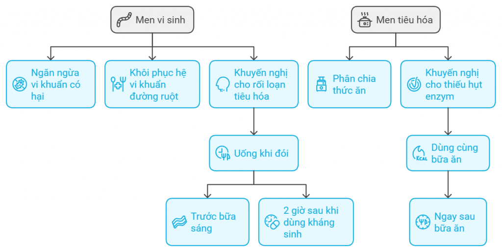 Bảng So Sánh Men Vi Sinh Men Tiêu Hóa