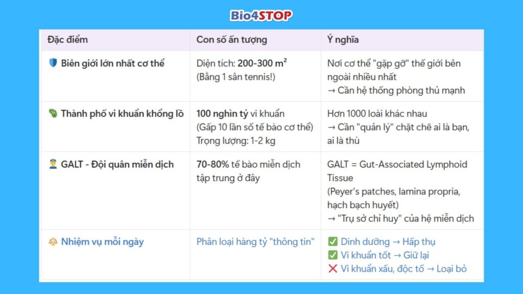 Tại sao đường ruột là "trụ sở tổng hành dinh" của miễn dịch?