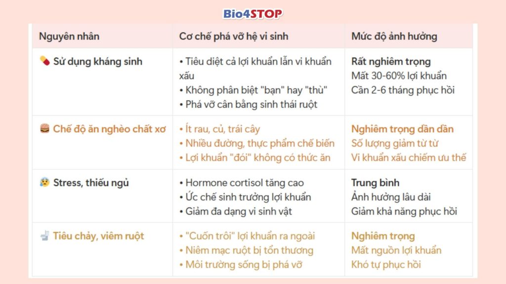 2.1. Nguyên nhân gây mất cân bằng: