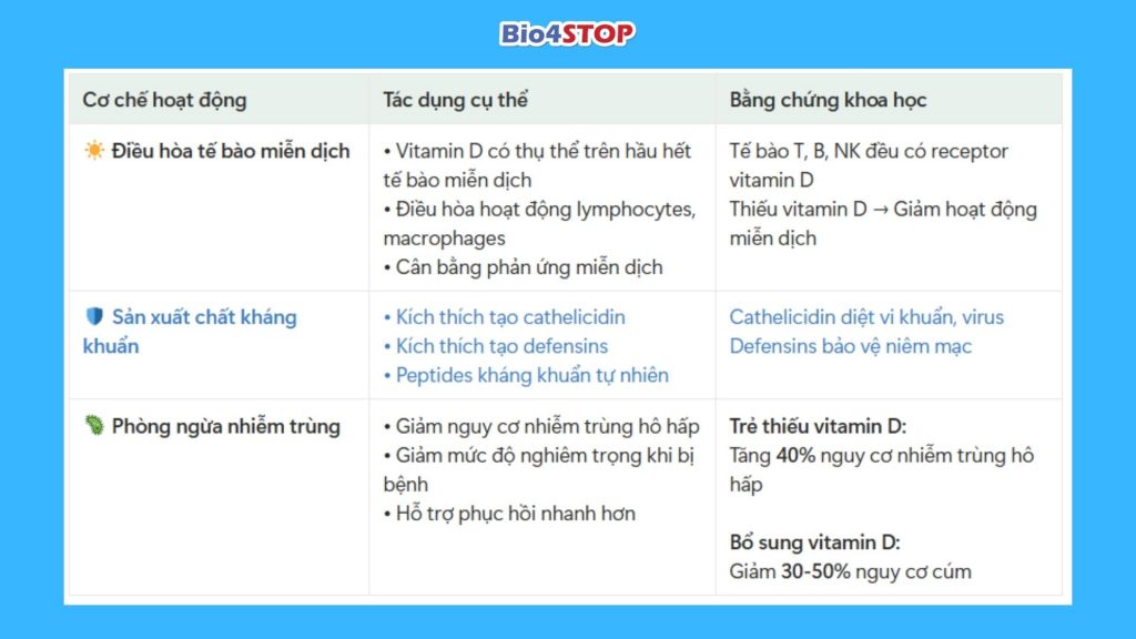 Vai trò của Vitamin D đối với hệ miễn dịch: