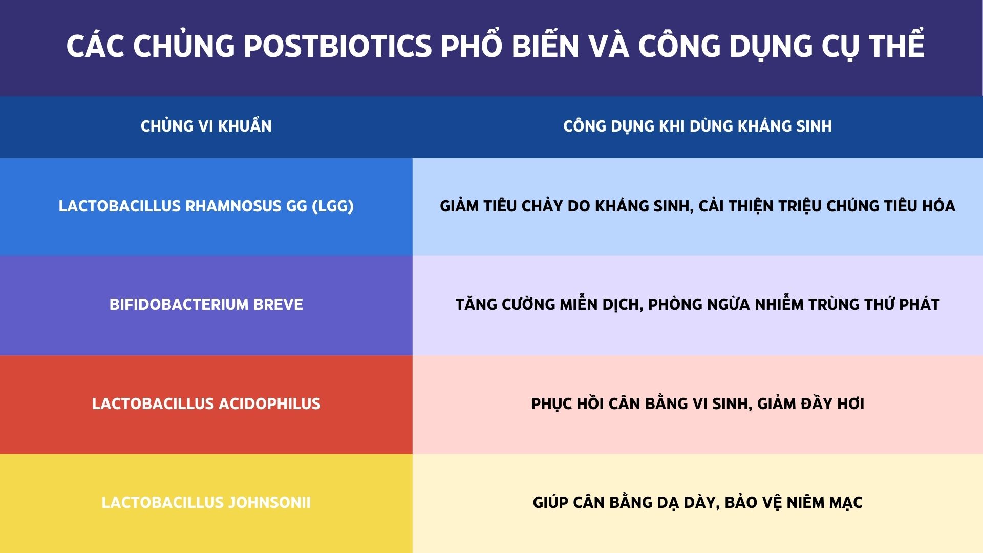 Chủng vi khuẩn Công dụng khi dùng kháng sinh Lactobacillus rhamnosus GG (LGG) "Giảm tiêu chảy do kháng sinh, cải thiện triệu chúng tiêu hóa" Bifidobacterium breve "Tăng cường miễn dịch, phòng ngừa nhiễm trùng thứ phát" Lactobacillus acidophilus "Phục hồi cân bằng vi sinh, giảm đầy hơi" Lactobacillus johnsonii "Giúp cân bằng dạ dày, bảo vệ niêm mạc" CÁC CHỦNG POSTBIOTICS PHỔ BIẾN VÀ CÔNG DỤNG CỤ THỂ