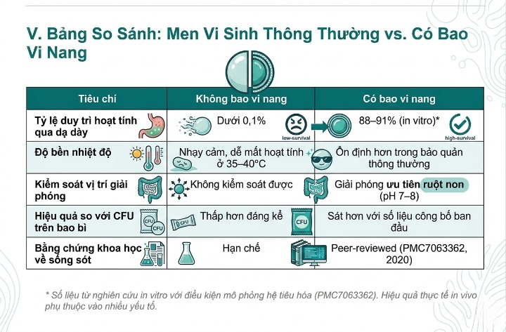 Bảng So Sánh: Men Vi Sinh Thông Thường vs. Có Bao Vi Nang