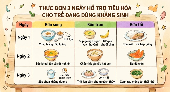 Thực Đơn 3 Ngày Hỗ Trợ Tiêu Hóa Cho Trẻ Đang Dùng Kháng Sinh