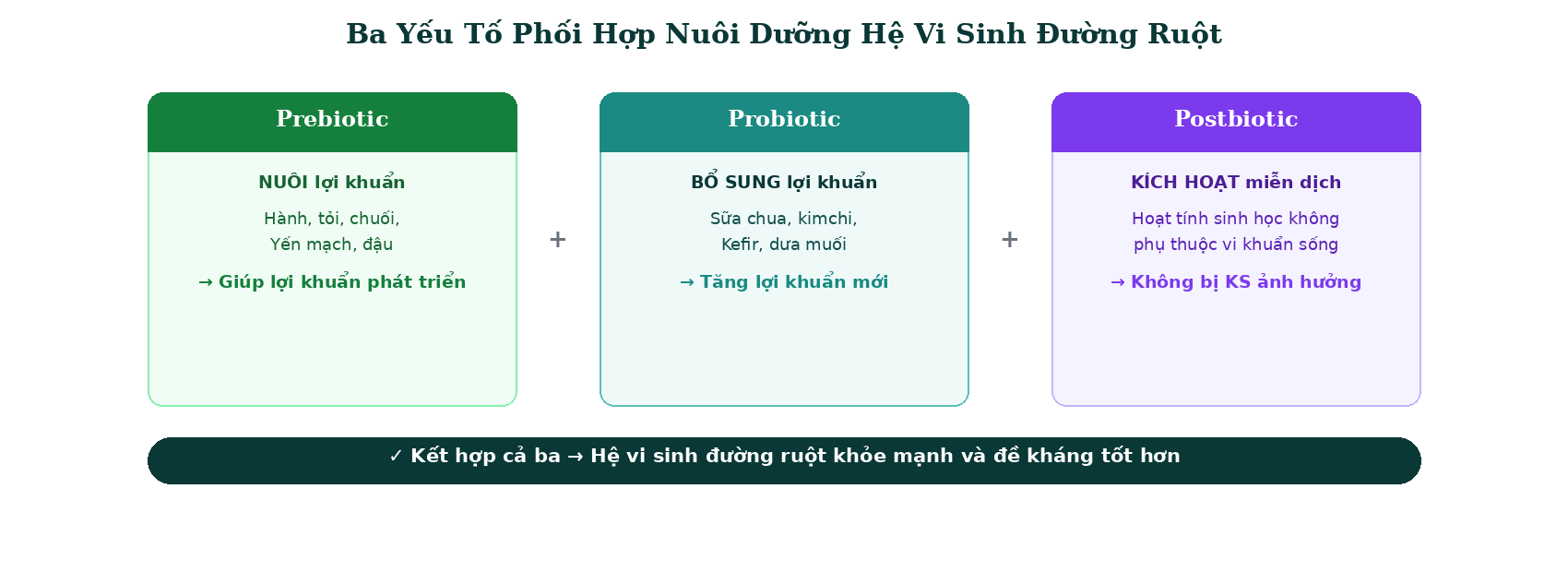 Infographic-prebiotic-probiotic-postbiotic