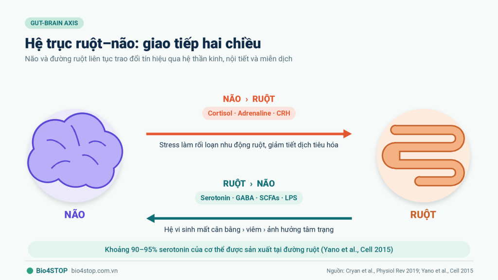 01-he-truc-ruot-nao-hai-chieu