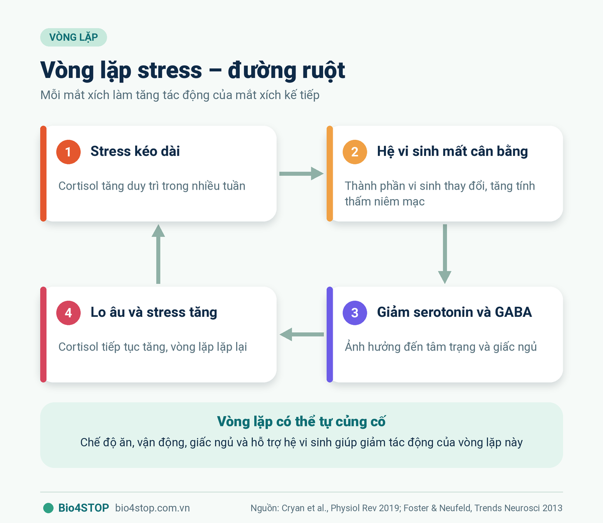 03-vong-lap-stress-duong-ruot