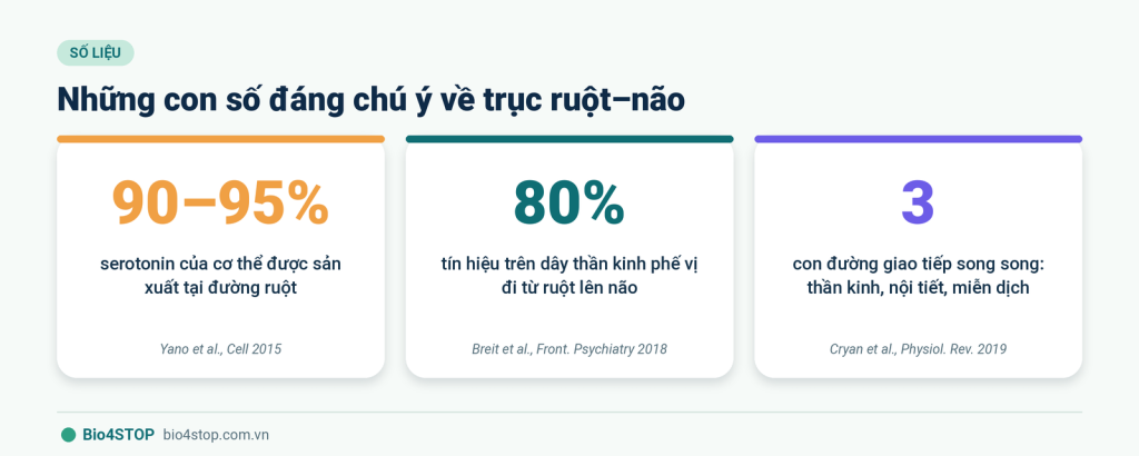04-so-lieu-truc-ruot-nao