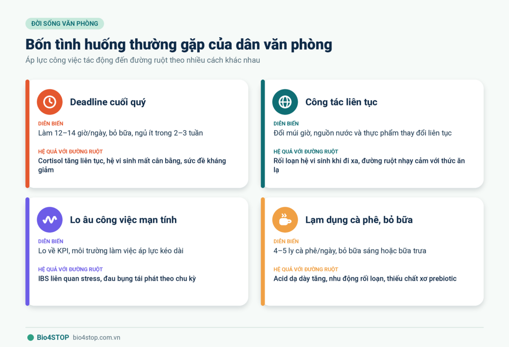 06-bon-tinh-huong-dan-van-phong